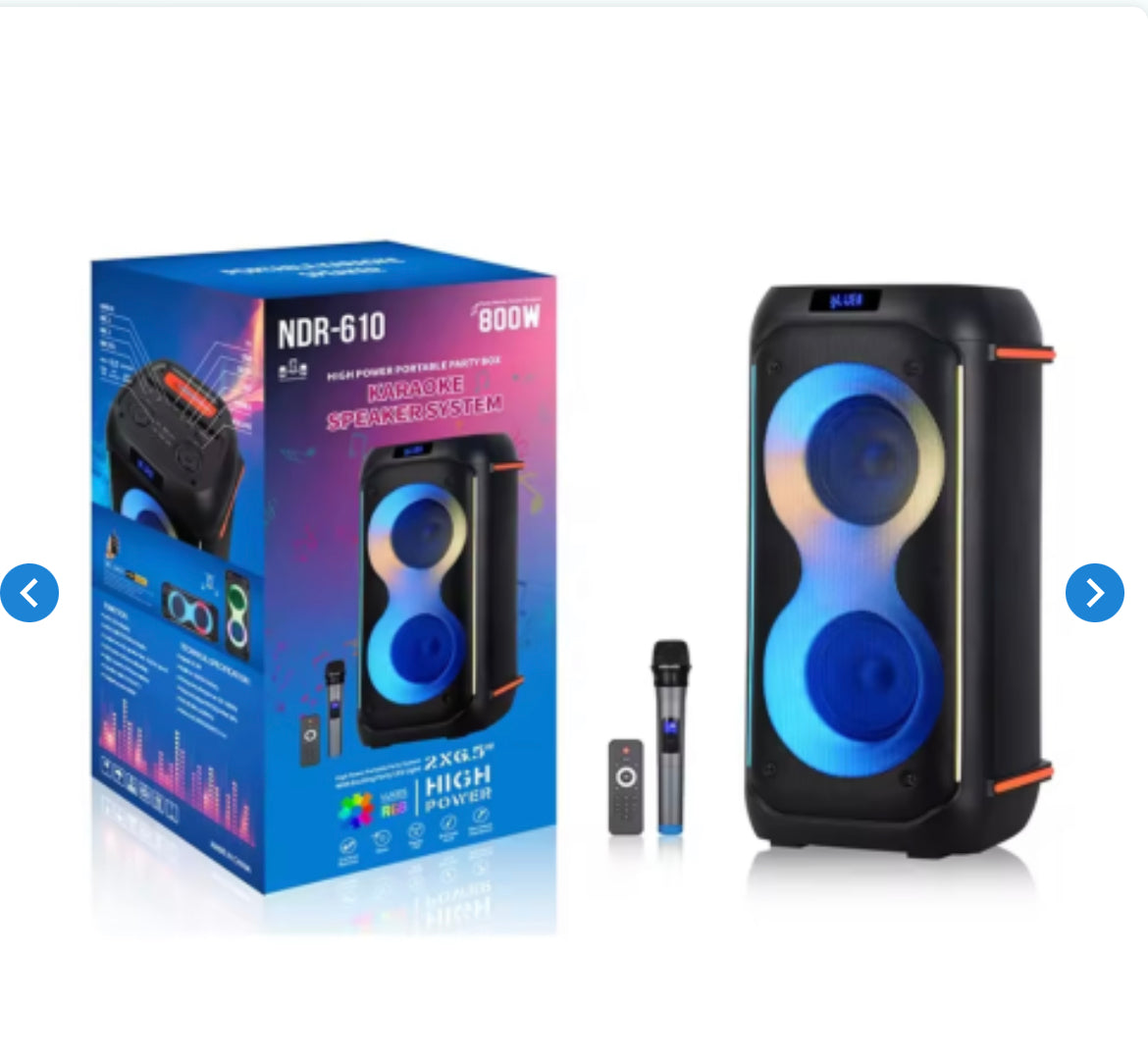 Enceinte Bluetooth NDR-610 avec Microphone - 2x6,5" - 800W - Noir